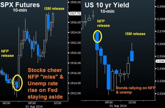 SPX vs Yields reaction to NFP & Unemployment