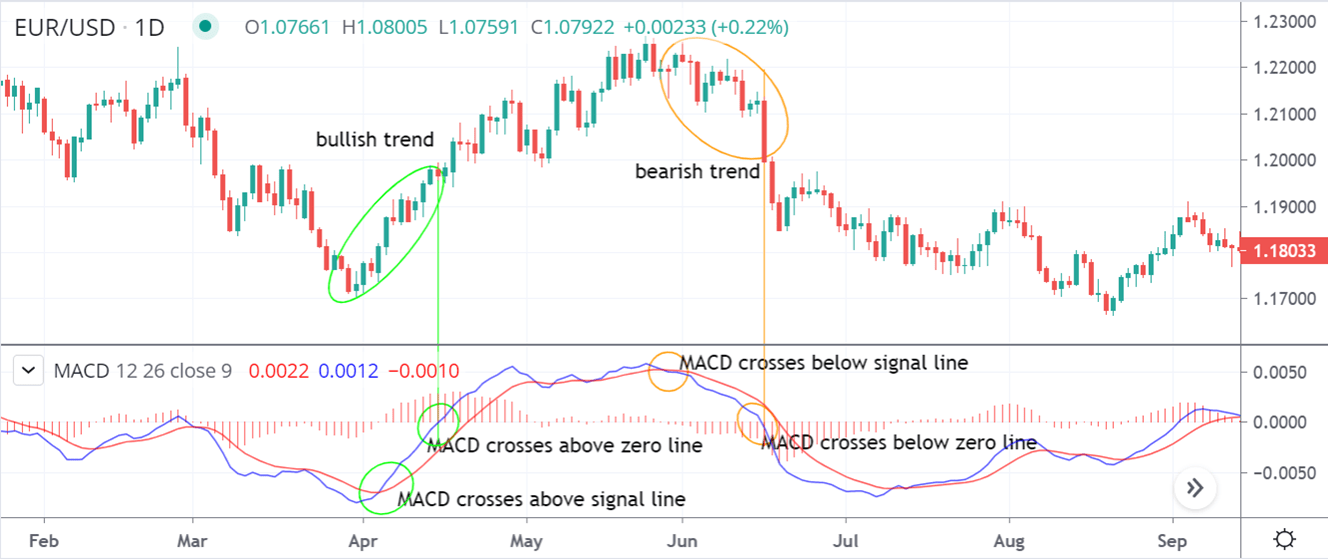 Labelled image of MACD indicator with crossovers and trends